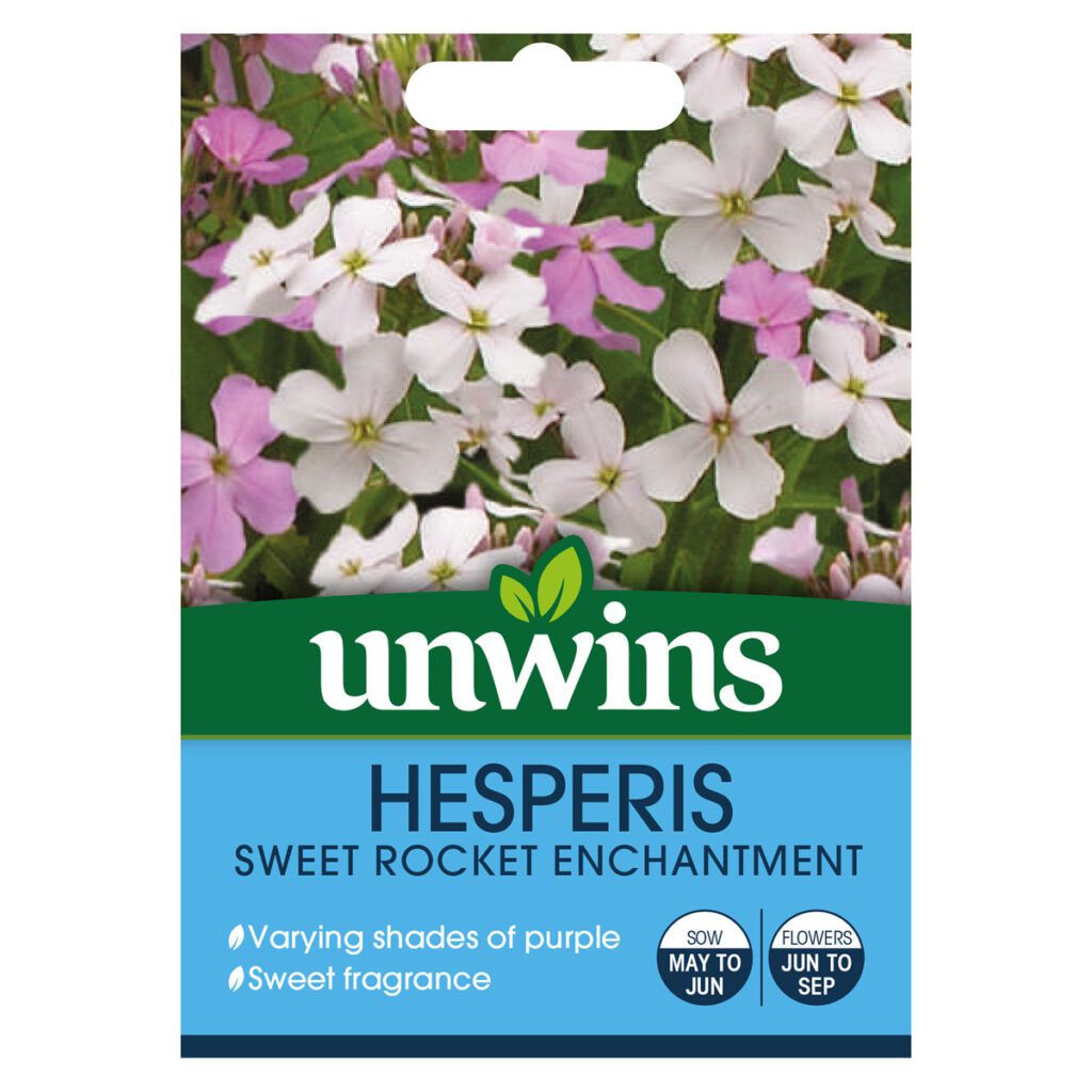 Unwins Hesperis Sweet Rocket Enchantment Seeds 5051618011020 2